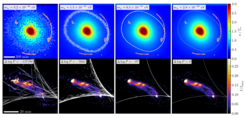 Abbildung 2: Beispiele für verschiedene Fuzzy-Linsenmodelle aus unserer Analyse. Die Farbkarten in der oberen Reihe zeigen die Dichte der Gravitationslinse, wobei die Radio-Bögen der gelinsten Quelle in Orange dargestellt sind. Die unteren Felder zeigen die entsprechenden Bilder der Quelle, die für jedes Linsenmodell abgeleitet wurden. Die Masse des dunklen Materieteilchens nimmt von links nach rechts zu. Ein sehr leichtes Teilchen aus dunkler Materie erzeugt eine sehr unscharfe Linse (linke Spalte), und die Daten können nicht ohne eine physikalisch unrealistische Quelle erklärt werden. Diesem Modell wird daher eine geringe Wahrscheinlichkeit zugewiesen.