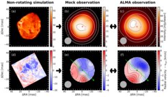 A direct comparison of a computer simulation of a nonrotating red supergiant with ALMA observations of Betelgeuse. If not sufficiently resolved in telescopes, the large-scale convection can result in a dipolar velocity map. The top row shows intensity maps, the bottom row shows maps of the radial velocity. The left-hand column shows the simulation of the star in full resolution; the middle column shows mock observations with reduced resolution. The right column shows the actual ALMA observation.
